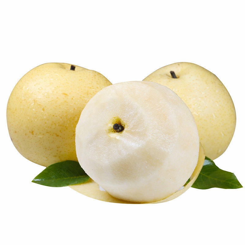 Export Quality Fresh Sweet Pear Sand Factory Wholesale Price