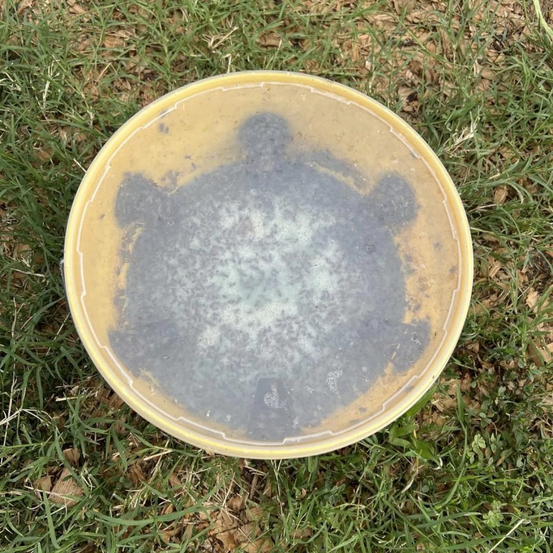 Fly Trap Bucket Big Bucket Fly Trap