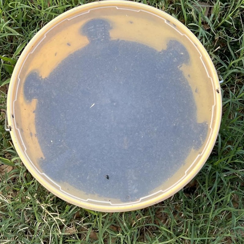 Fly Trap Bucket Big Bucket Fly Trap