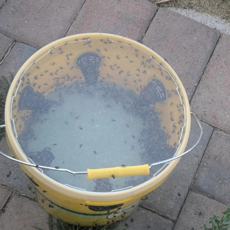 Fly Trap Bucket Big Bucket Fly Trap