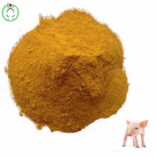 Corn Gluten Meal Protein Powder Min 60% Protein