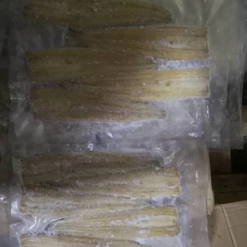 Frozen Roasted Eel Fish, Kabayaki Eel, Anago Eel