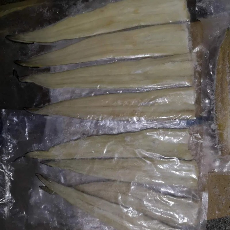 Frozen Roasted Eel Fish, Kabayaki Eel, Anago Eel