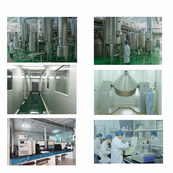 Factory Supply Natural Sweetener Without Sugar 20-50% Mogroside V Monk Fruit Extract for Diabetes