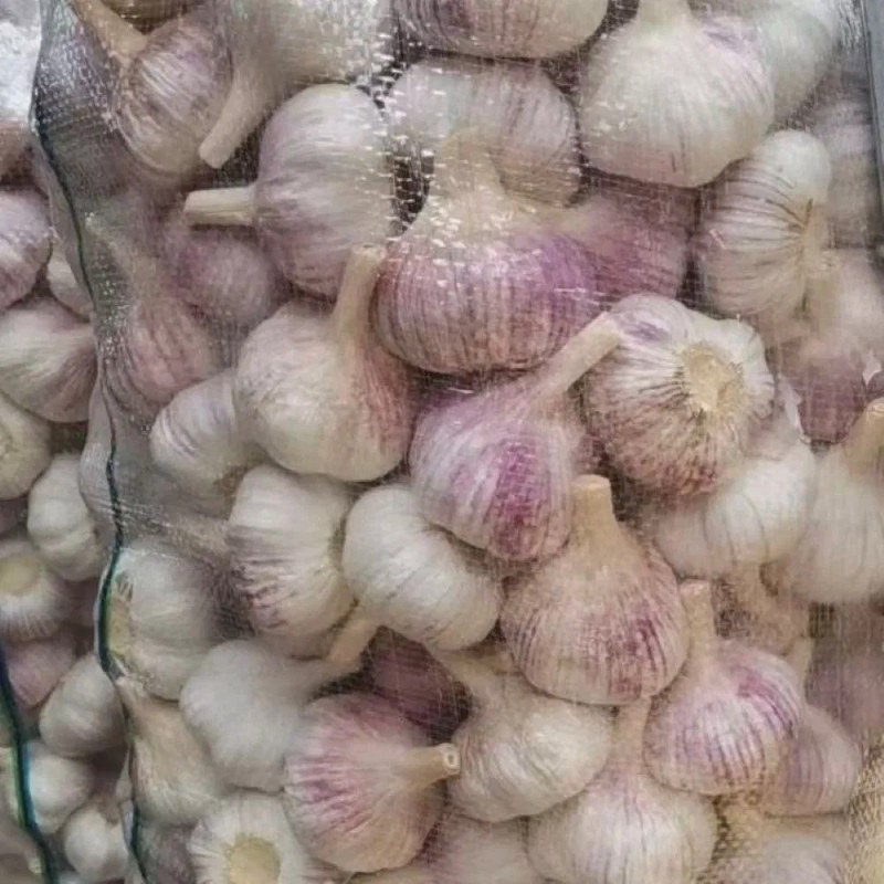 Pure Natural Organic Purple Skinned Garlic