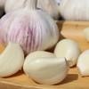 Pure Natural Organic Purple Skinned Garlic