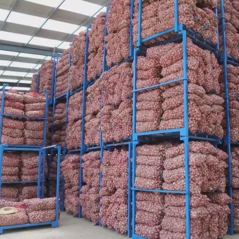 Pure Natural Organic Purple Skinned Garlic