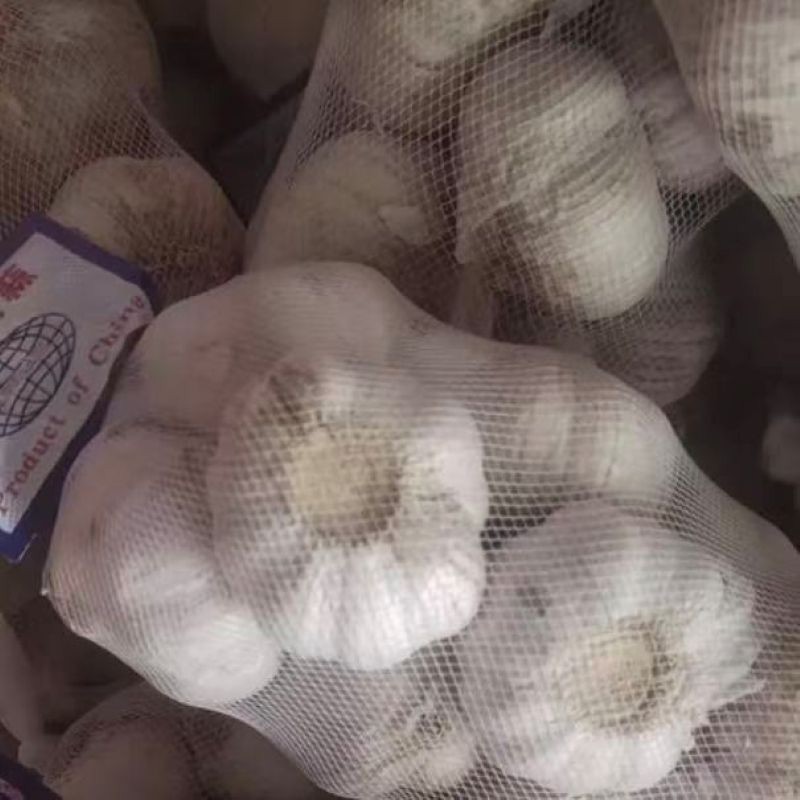 Pure Natural Organic Purple Skinned Garlic