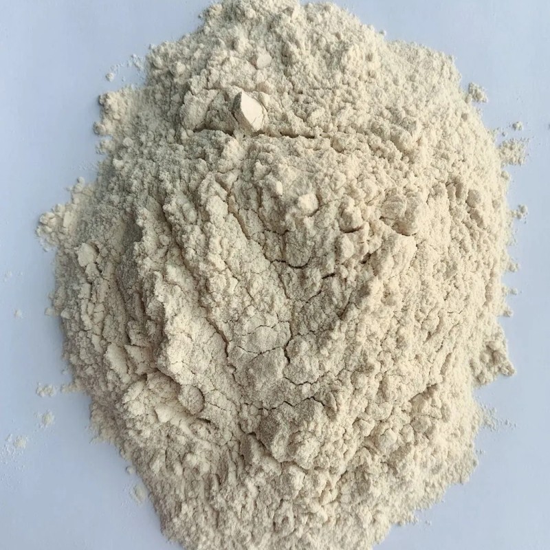 Plant Protein Wheat Protein Vital Wheat Gluten