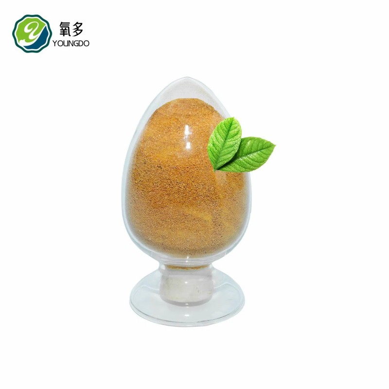 Corn Gluten Meal Direct From Manufacturer