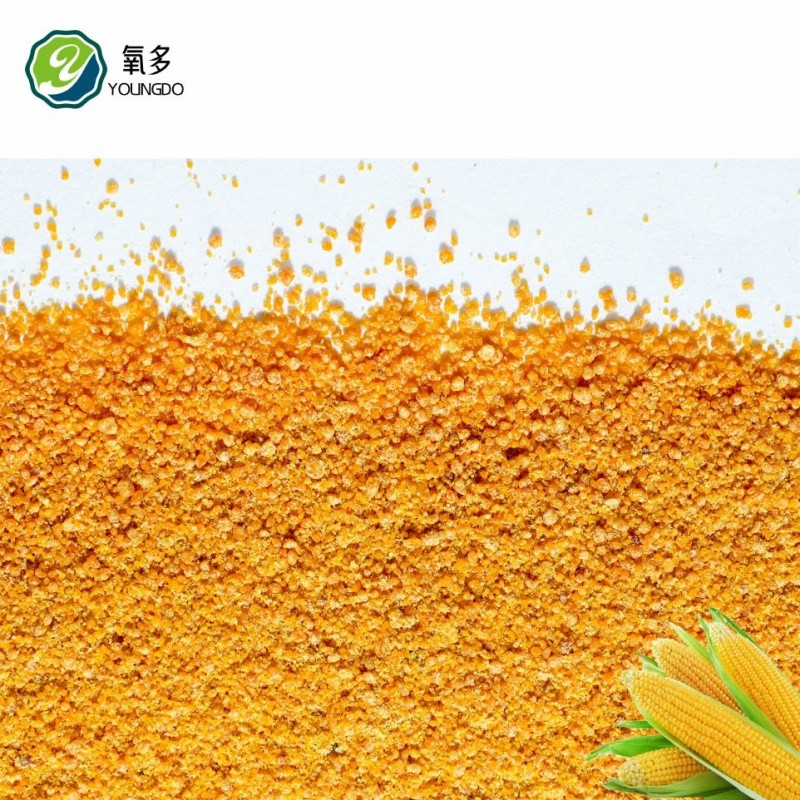 Corn Gluten Meal Direct From Manufacturer