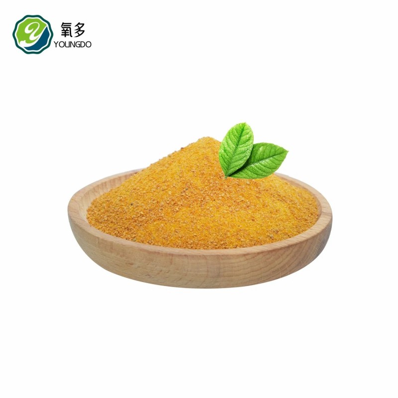 Corn Gluten Meal Direct From Manufacturer