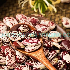 Saturated and Soft Canned Purse Bean or Canned Pouch Bean From China.