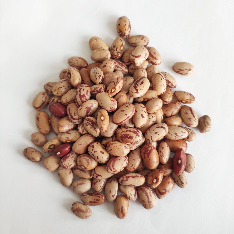New Crop Best Price Light Speckled Kidney Beans