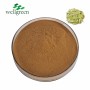 Cassia Sennosine 20% HPLC Sennosides Senna Leaf Extract