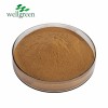 Cassia Sennosine 20% HPLC Sennosides Senna Leaf Extract