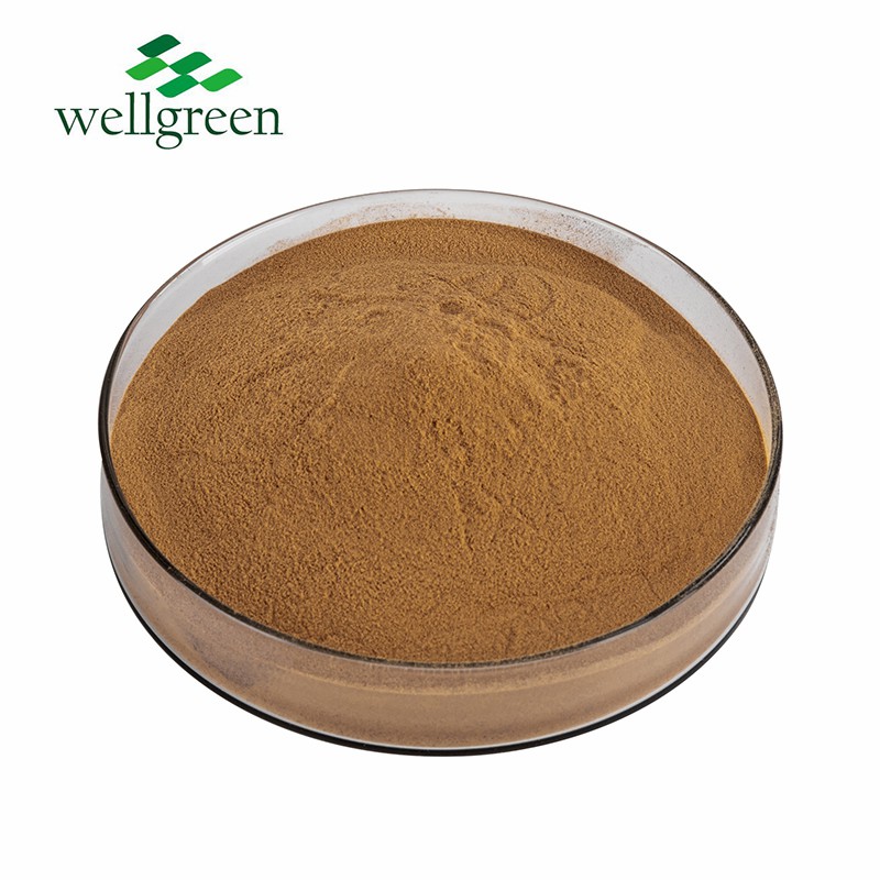 Cassia Sennosine 20% HPLC Sennosides Senna Leaf Extract