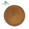 Cassia Sennosine 20% HPLC Sennosides Senna Leaf Extract