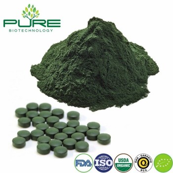Pure Spirulina Powder for Natural Wellness and Vibrant Living
