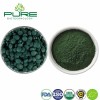 Pure Spirulina Powder for Natural Wellness and Vibrant Living
