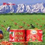 Fine Tom Brand Canned Tomato Paste Exporter 2.2 Kg China Supplier