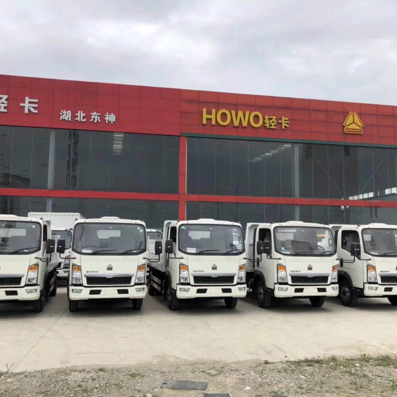 Brand New Sinotruk HOWO 371HP or 400HP HOWO 6X4 8X4 Dumper Tipper Dump Truck