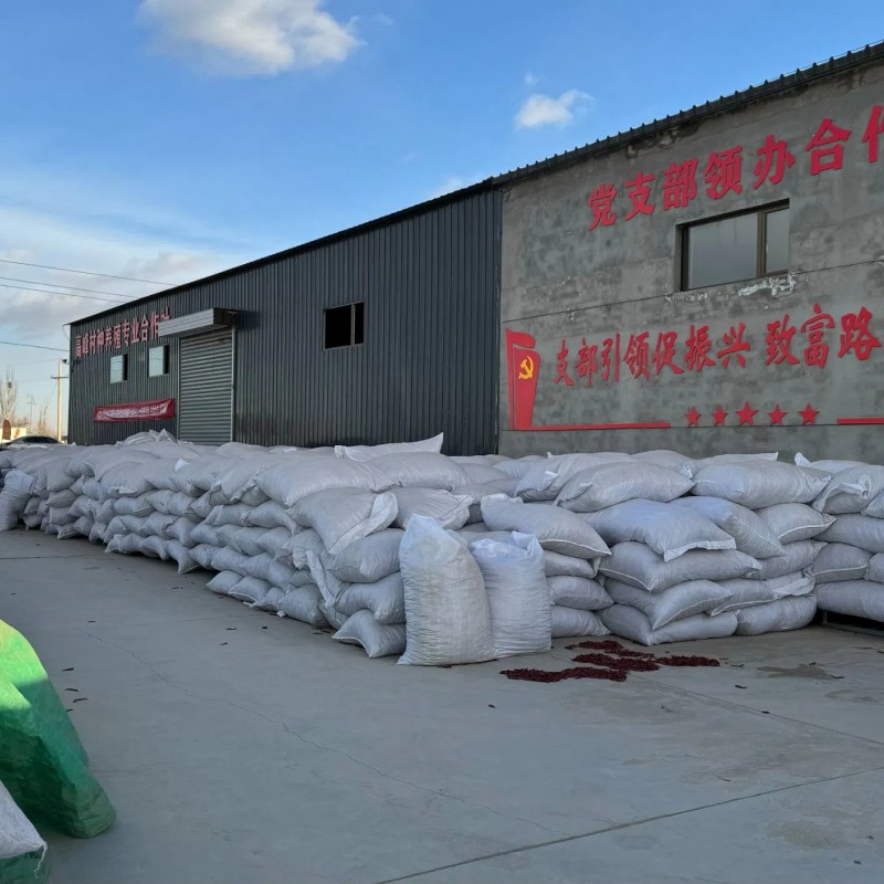 Factory-Customized Chinese Hala Healthy and Delicious Bulk Condiments Garlic Spicy and Hot Chili Sauce