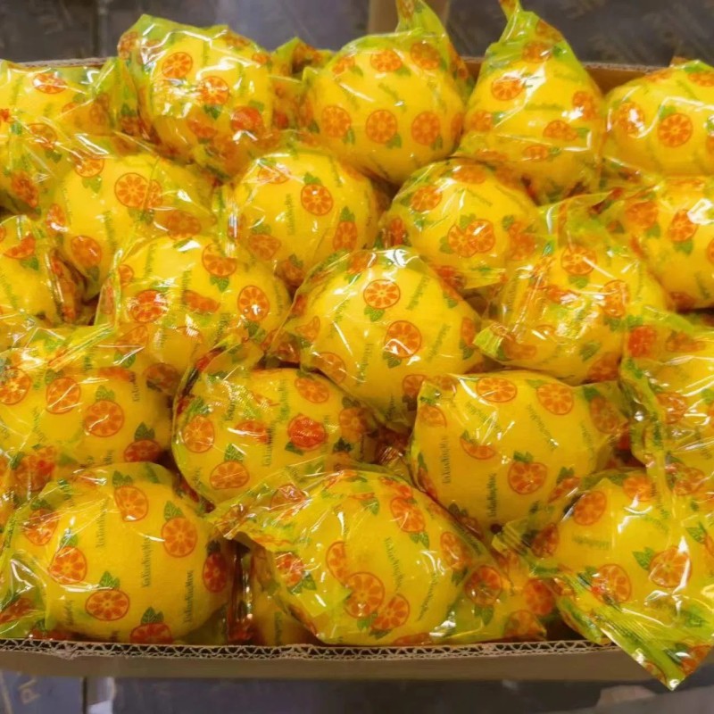 China New Crop Hot Sell Fresh Lemon Eureka Lemon