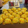 China New Crop Hot Sell Fresh Lemon Eureka Lemon