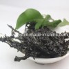 Top Quality Soupmate Dried Seaweed Laver in Bulk