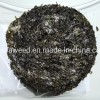Top Quality Soupmate Dried Seaweed Laver in Bulk