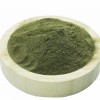 Factory Supply Pure Natural Plant Seaweed Powder