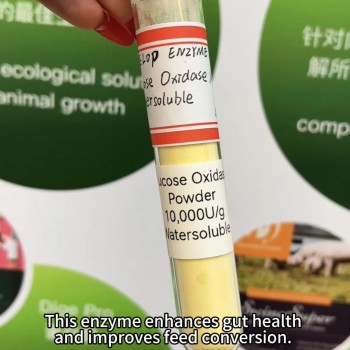 Feed-Grade, High-Activity, Stabilized Water-Soluble Glucose Oxidase (CAS 9001-37-0) for Animal Nutrition, Poultry, Ruminant, Swine Feeds, Improved Gut Health