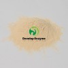Feed-Grade, High-Activity, Stabilized Water-Soluble Glucose Oxidase (CAS 9001-37-0) for Animal Nutrition, Poultry, Ruminant, Swine Feeds, Improved Gut Health