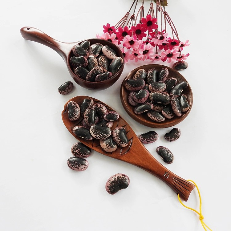 Wholesale Big Dark Black Market Price Kidney Bean
