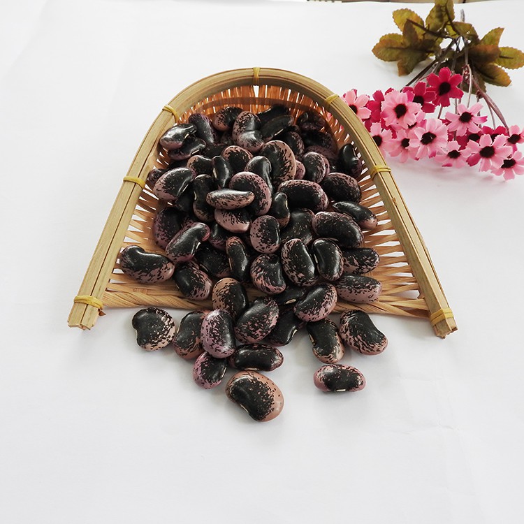 Wholesale Big Dark Black Market Price Kidney Bean