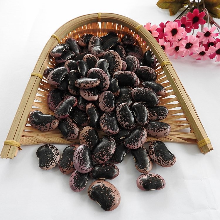 Wholesale Big Dark Black Market Price Kidney Bean