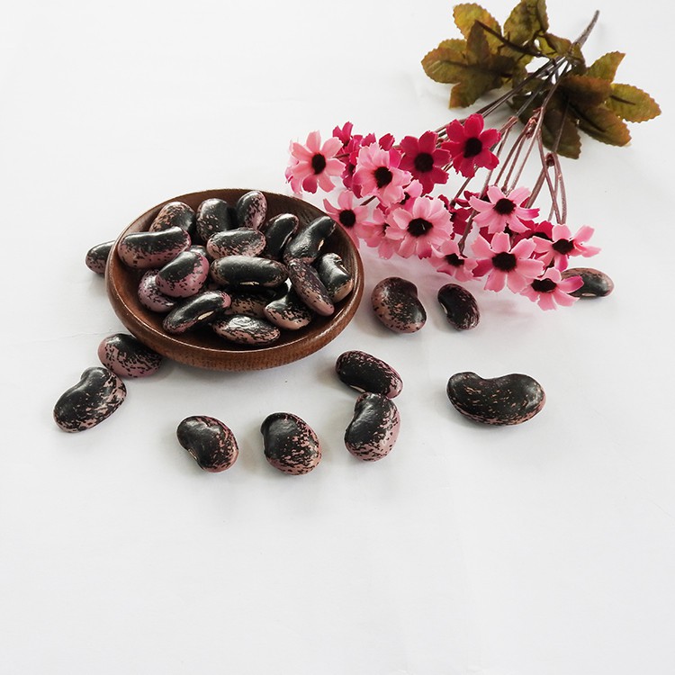 Wholesale Big Dark Black Market Price Kidney Bean