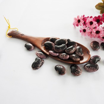 Wholesale Big Dark Black Market Price Kidney Bean