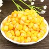 Factory Price for Canned Sweet Kernel Corn Canned Sweet Yellow Corn