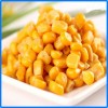 Factory Price for Canned Sweet Kernel Corn Canned Sweet Yellow Corn