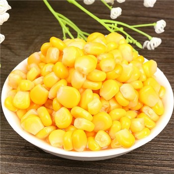 Factory Price for Canned Sweet Kernel Corn Canned Sweet Yellow Corn