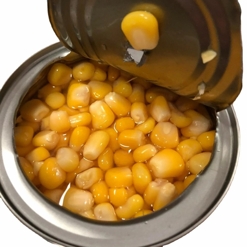 Factory Price for Canned Sweet Kernel Corn Canned Sweet Yellow Corn