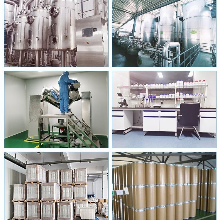 Feed Grade Yeast Beta-Glucan G70, GMP+ Fsa Certified Gut-Health Booster