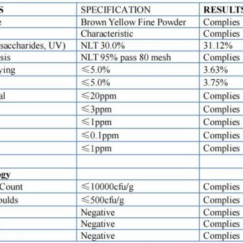 Lion's Mane Mushroom Extract Powder with Polysaccharides