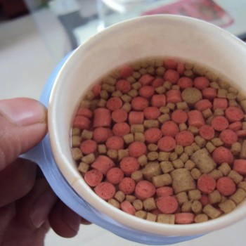 Various Colors and Shapes Fish Feed Extruder Making Machine