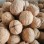 Green Cultivation Regular Shape Plump Kernel Xinjiang 185 Walnut