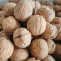 Green Cultivation Regular Shape Plump Kernel Xinjiang 185 Walnut