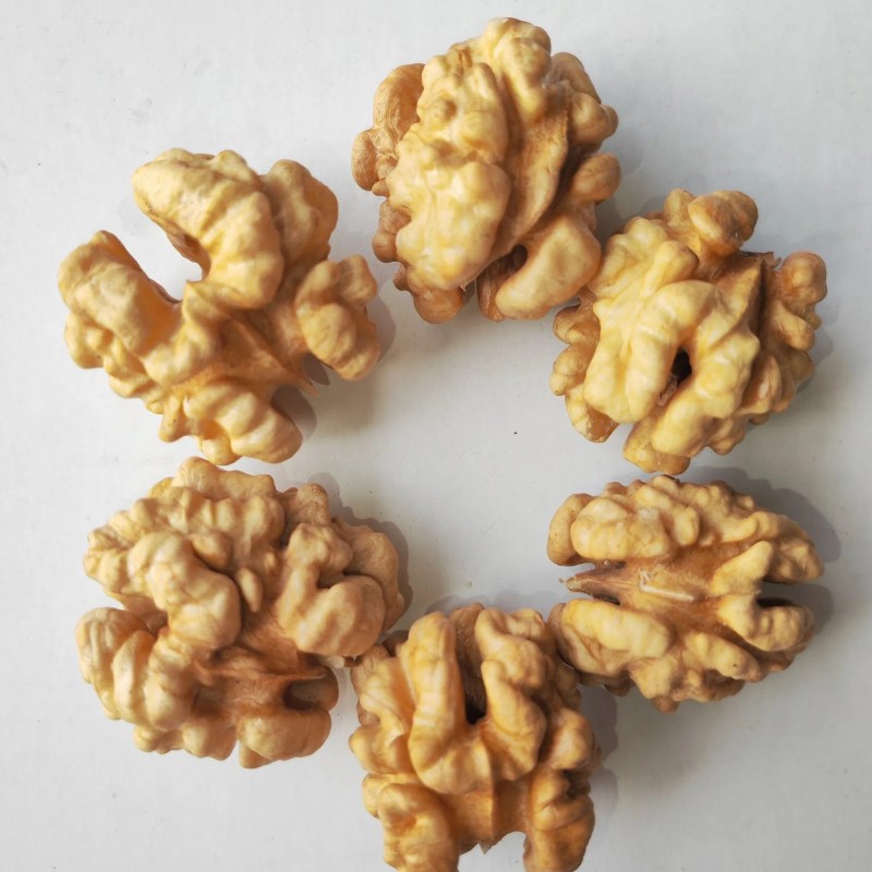 Green Cultivation Regular Shape Plump Kernel Xinjiang 185 Walnut