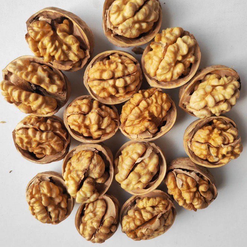 Green Cultivation Regular Shape Plump Kernel Xinjiang 185 Walnut